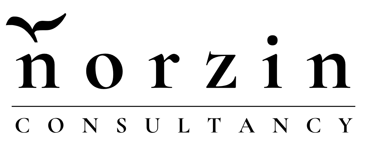 Norzin Consultancy